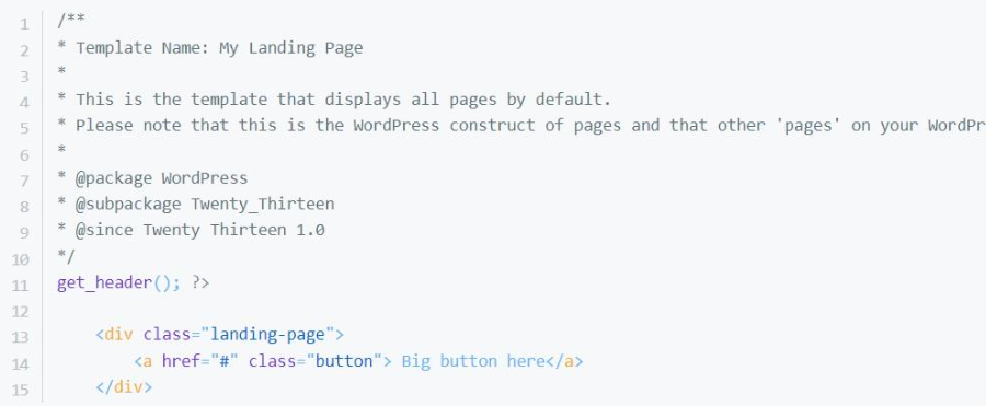 Capture d'écran du code insérant des balises de contenu personnalisées pour une landing page WordPress
